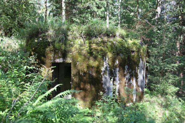 Sedmikraska Villa Horní Maršov Buitenkant foto